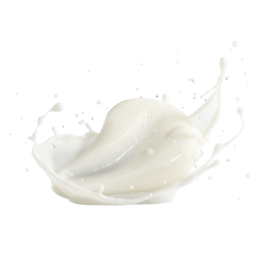 CONDITION: Silicone-Free Detangling Conditioner - Ayaa Botanicals